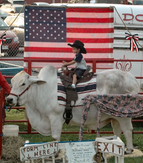 boy on bull